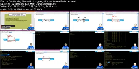 Huawei HCIA-HNTD with LABS - Intermediate level