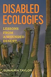 Disabled Ecologies: Lessons from a Wounded Desert