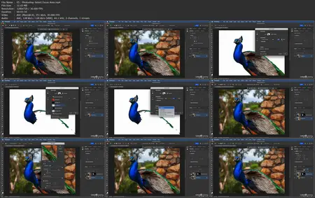 Photoshop and Lightroom: Masking Essentials