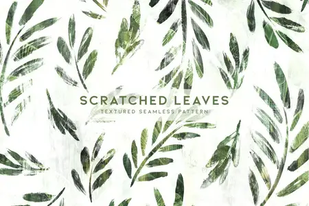 EE - Scratched Leaves NPT7AAN