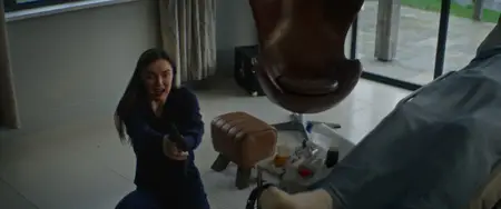 Stand Your Ground (2025)