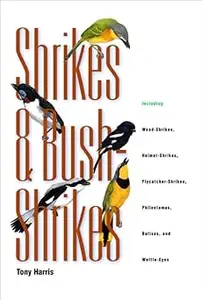 Shrikes and Bush-Shrikes