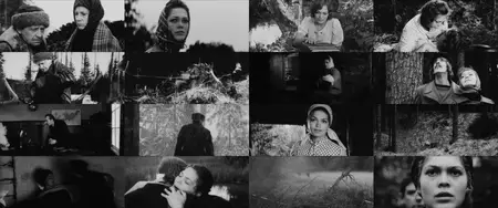 Spring in the Forest (1974)