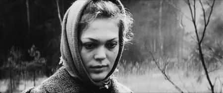 Spring in the Forest (1974)