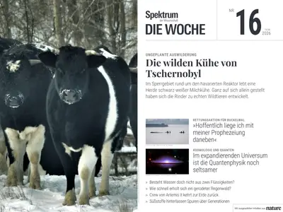 Spektrum Die Woche - 17 April 2026