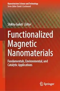 Functionalized Magnetic Nanomaterials