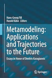 Metamodeling: Applications and Trajectories to the Future