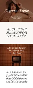 Elegance Prime Modern Serif Font ZQBBETL