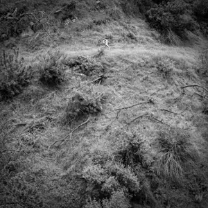 Anna Tivel - Animal Poem (2025) [Official Digital Download 24/96]