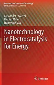 Nanotechnology in Electrocatalysis for Energy (Nanostructure Science and Technology) (Repost)