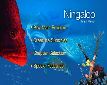 Ningaloo / Нингалу (2004)