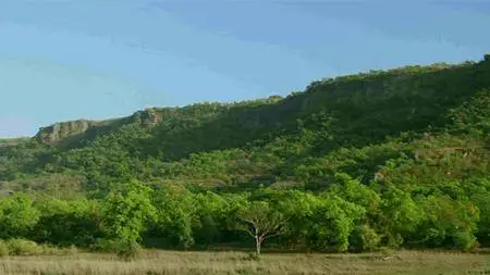BBC - Natural World: Tiger Kill (2008)