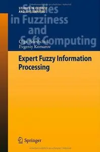 Expert Fuzzy Information Processing (Repost)
