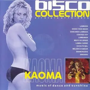 VA - Disco Collection: 31CD (1999-2002)