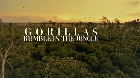 Doclights - Gorillas: Rumble in the Jungle (2020)