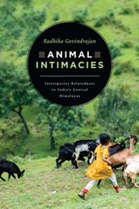 Animal Intimacies : Interspecies Relatedness in India's Central Himalayas