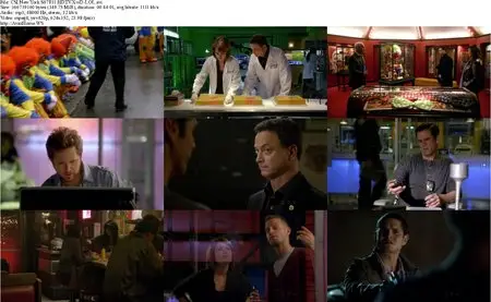 CSI: NY S07E11