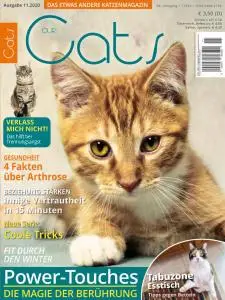 Our Cats - November 2020