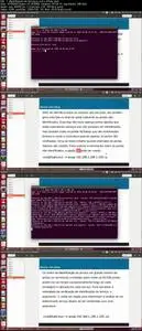 Hacker Ético Profissional com Kali Linux
