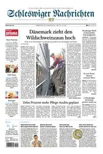 Schleswiger Nachrichten - 29. Januar 2019