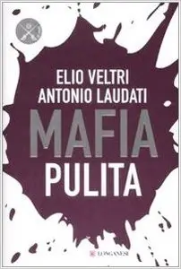 Elio Veltri, Antonio Laudati - Mafia Pulita