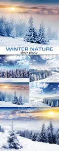 Winter nature