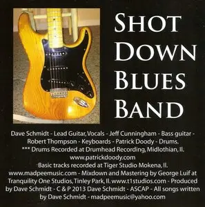 Dave Schmidt & Shot Down Blues Band - Shot Down By A Woman (2013)
