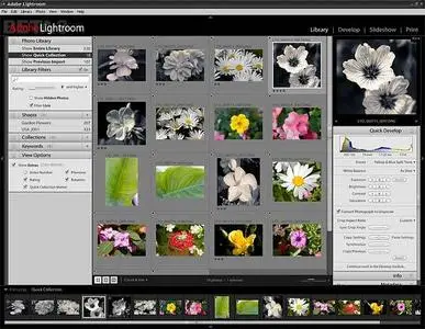 Adobe Photoshop Lightroom v1.3.1 Multilang
