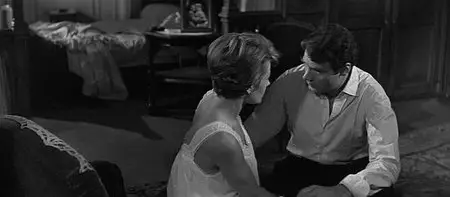 La proie pour l'ombre / Shadows of Adultery (1961)
