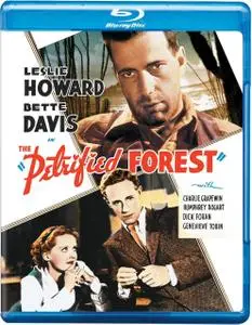 The Petrified Forest (1936) + Extra [w/Commentary]