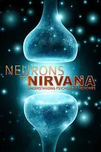 Neurons to Nirvana (2013)