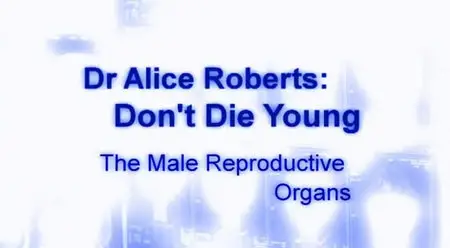 Don't Die Young - Series 2 (2007)