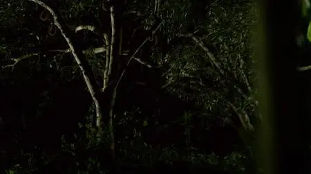 Dead by Dawn S01E06
