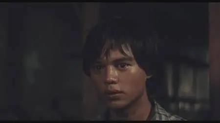 Manila in the Claws of Light / Maynila sa mga kuko ng liwanag (1975) [Criterion Collection]