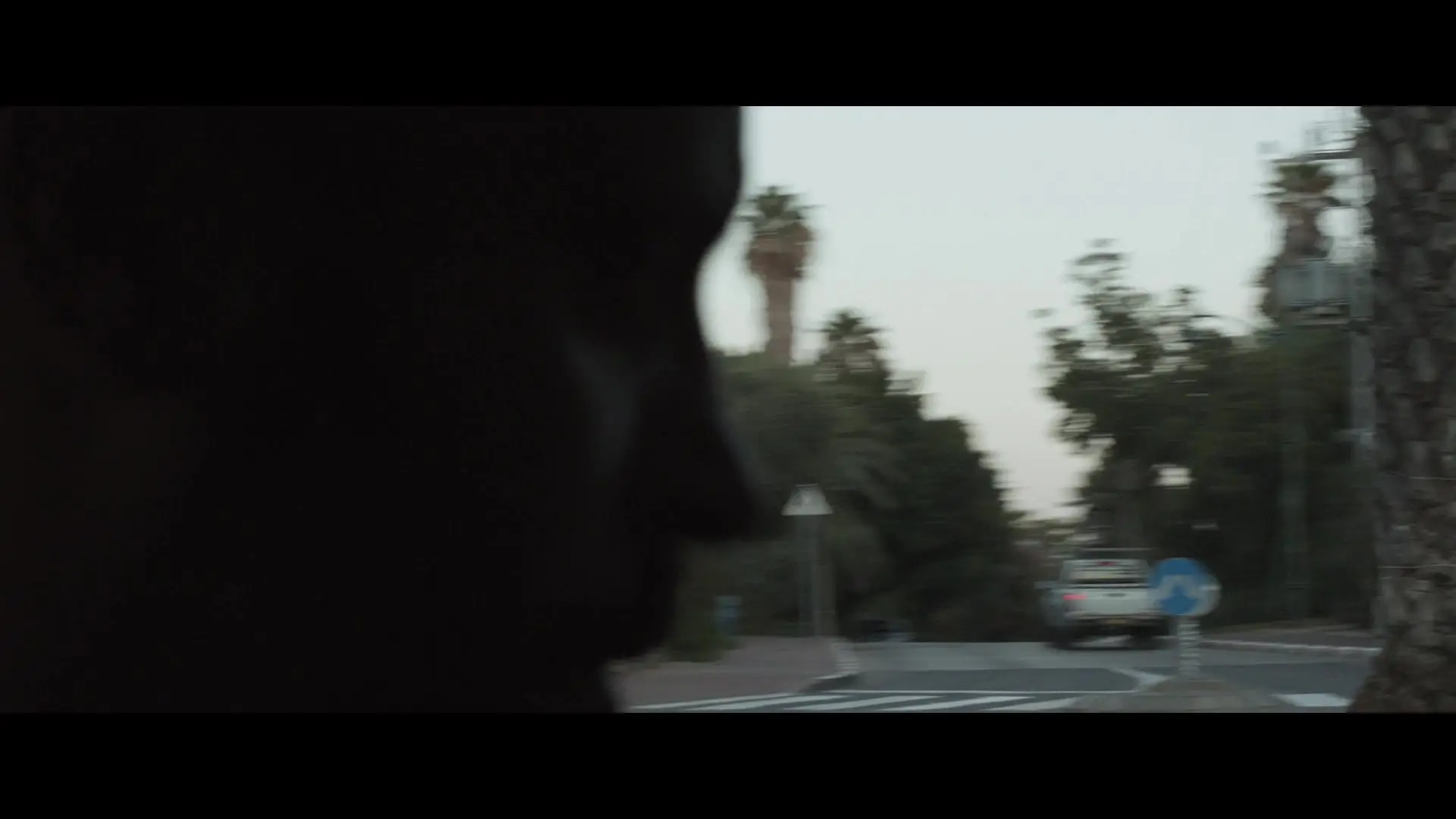 The Attack (2012)