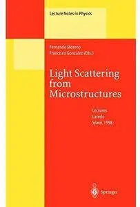 Light Scattering from Microstructures