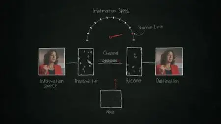 IEEE - The Bit Player (2018)