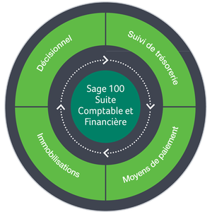 Sage 100C Entreprise Suite Comptable et Financiere i7 v4.00 Multilingual