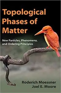 Topological Phases of Matter