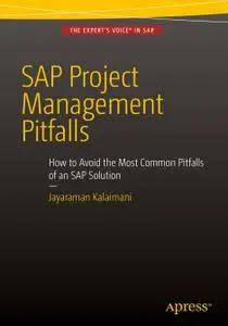 SAP Project Management Pitfalls: How to Avoid the Most Common Pitfalls of an SAP Solution (Repost)