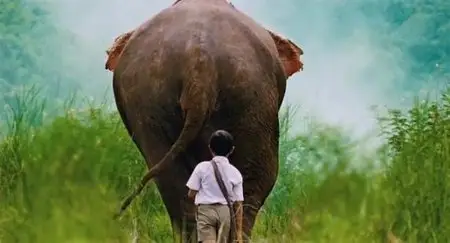 Tom Yum Goong aka the protector (2005) 