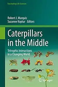 Caterpillars in the Middle: Tritrophic Interactions in a Changing World