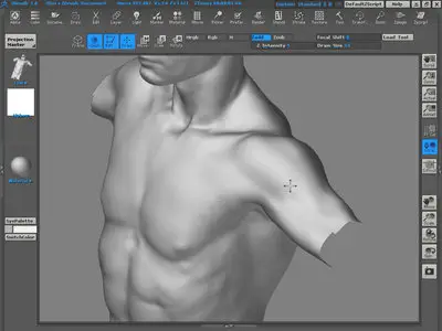 The Gnomon Workshop - Digital Sculpting: Human Anatomy [repost]