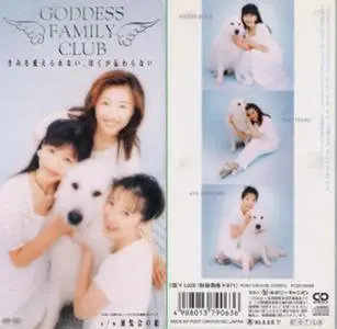 Kimi wo Kaerarenai, Boku ga Tsutawaranai / Goddess Family Club (1997) EP