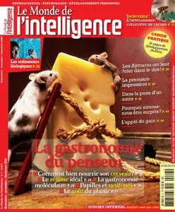 Le Monde de l'Intelligence N 7 - Novembre-Décembre 2006