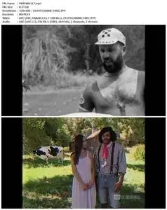 Tour de Pharmacy (2017)