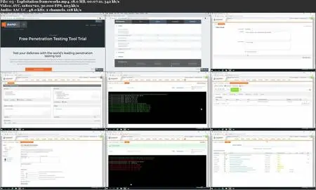 CySA+ (CS0-002) Cert Prep: 4 Software and Systems Security