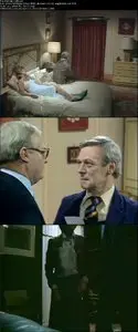 Wet Job (1981)