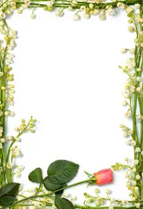 Flower frames