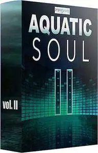 Organic Wave Aquatic Soul Sound Collection 2 WAV